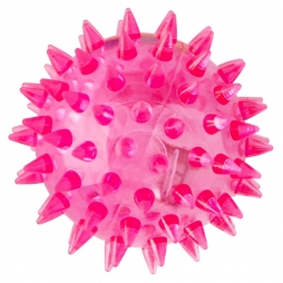 Bola LED com Cravos Pet