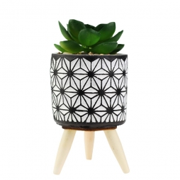 Cachepot com Planta